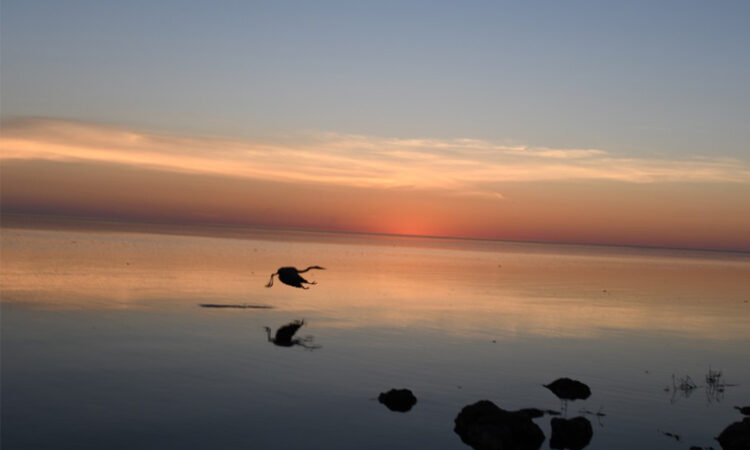 Lake Okeechobee Sunset